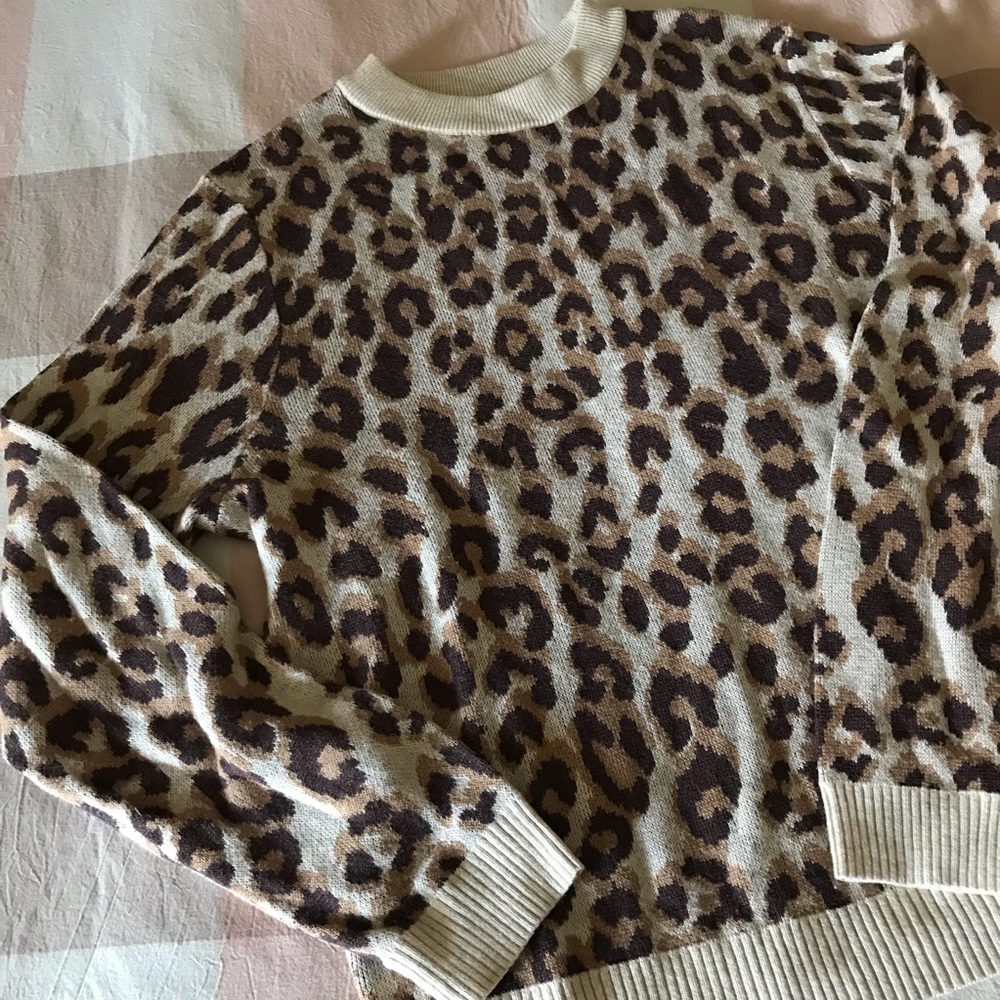 Cheetah Print Sweater